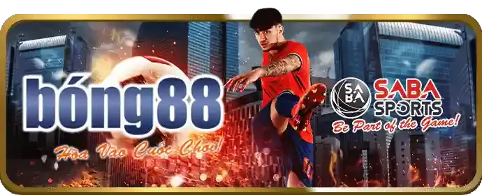 Hoàn trả cược thua hàng tuần